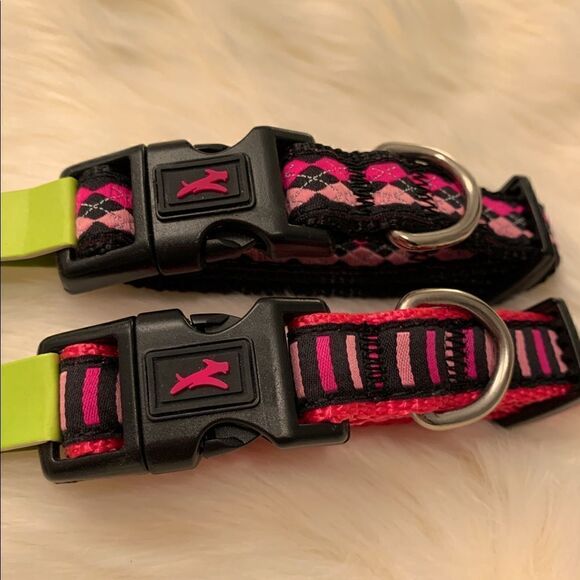 jump Nylon Dog Clip Collar - Picture 1 of 8